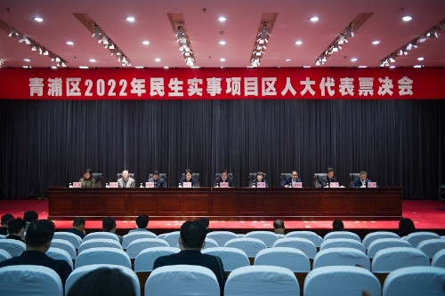 区人大常委会组织代表票决2022年区政府民生实事项目
